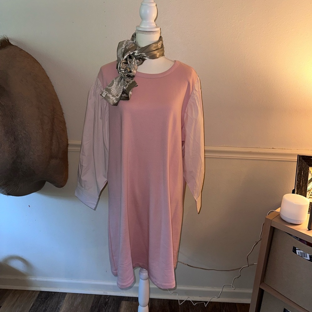 Free Assembly Dress